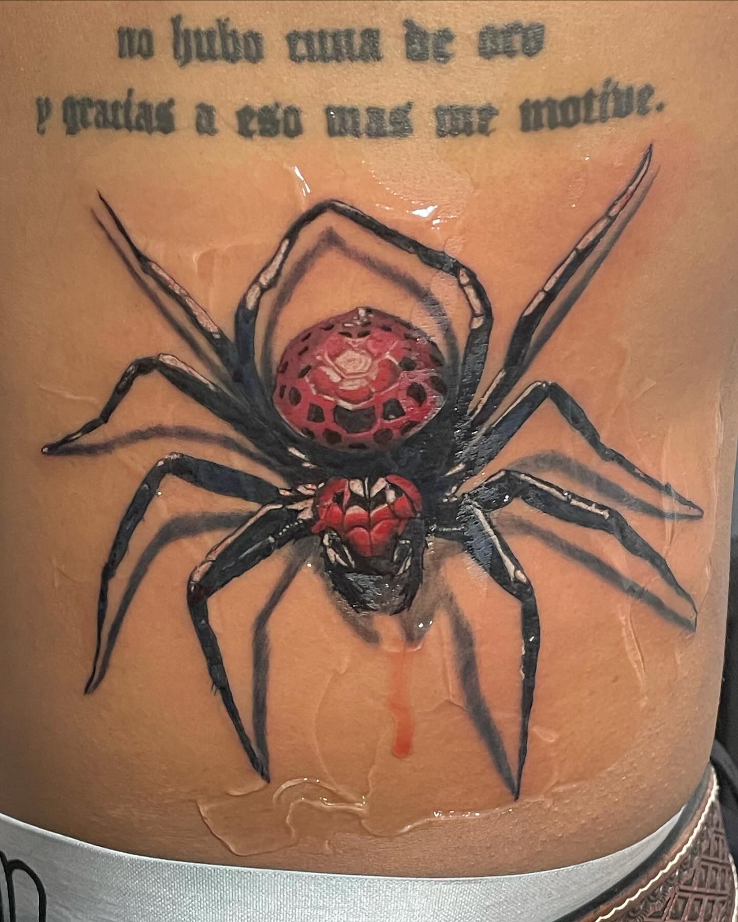 Trabajo portafolio